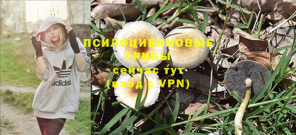 эйфоретик Заволжск